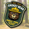 Smokey Bear Set of Six Magnets by Classic Magnets, Collectible Souvenirs Made in the USA