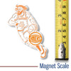 Jalen Brunson New York Knicks magnet shown next to measuring tape for scale at 3.6" x 2.6".