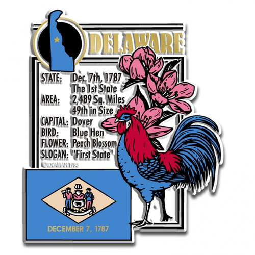 Detail of Delaware magnet included in set. Detail of Delaware magnet included in set.