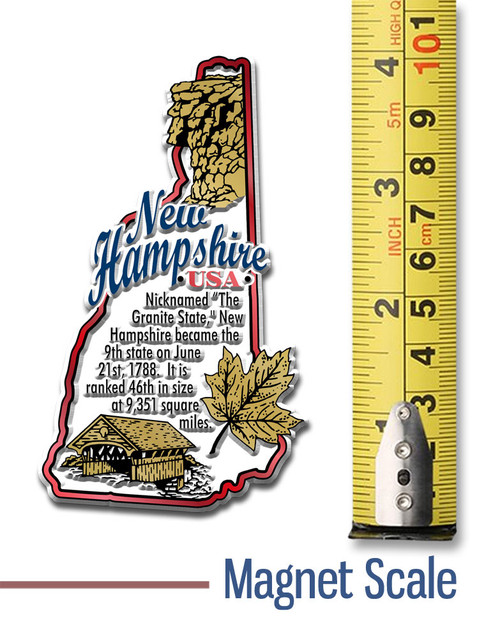 New Hampshire Information State Magnet by Classic Magnets, 2.3" x 3.9", Collectible Souvenirs and Gifts Made in the USA