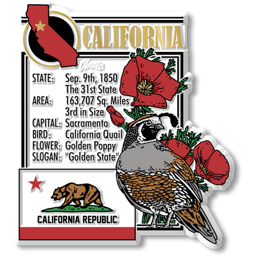 California State Montage Magnet by Classic Magnets, 3" x 3.4", Collectible Souvenirs Made in the USA