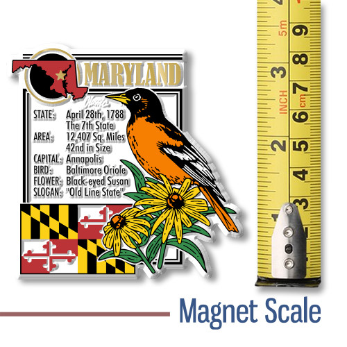 Maryland State Montage Magnet by Classic Magnets, 3" x 3.3", Collectible Souvenirs and Gifts Made in the USA Maryland State Montage Magnet by Classic Magnets, 3" x 3.3", Collectible Souvenirs and Gifts Made in the USA