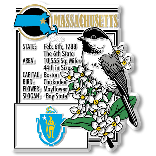 Massachusetts State Montage Magnet by Classic Magnets, 2.7" x 3.2", Collectible Souvenirs Made in the USA