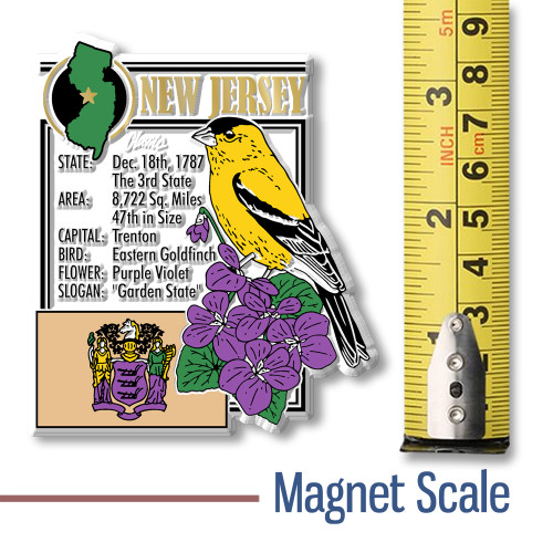 New Jersey State Montage Magnet by Classic Magnets, 3" x 3.3", Collectible Souvenirs and Gifts Made in the USA New Jersey State Montage Magnet by Classic Magnets, 3" x 3.3", Collectible Souvenirs and Gifts Made in the USA