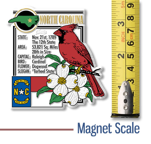 North Carolina State Montage Magnet by Classic Magnets, 3" x 3.2", Collectible Souvenirs and Gifts Made in the USA North Carolina State Montage Magnet by Classic Magnets, 3" x 3.2", Collectible Souvenirs and Gifts Made in the USA