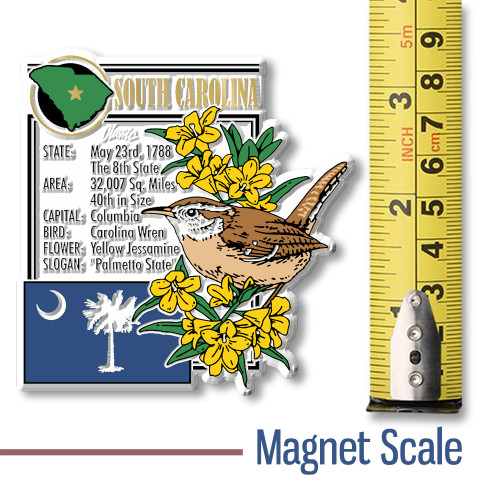 South Carolina State Montage Magnet by Classic Magnets, 2.8" x 3.3", Collectible Souvenirs and Gifts Made in the USA South Carolina State Montage Magnet by Classic Magnets, 2.8" x 3.3", Collectible Souvenirs and Gifts Made in the USA