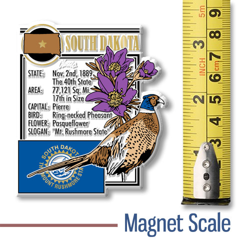 South Dakota State Montage Magnet by Classic Magnets, 2.7" x 3.2", Collectible Souvenirs and Gifts Made in the USA South Dakota State Montage Magnet by Classic Magnets, 2.7" x 3.2", Collectible Souvenirs and Gifts Made in the USA