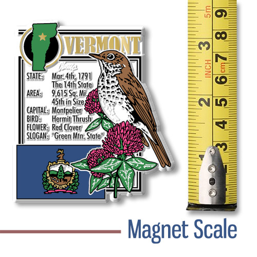 Vermont State Montage Magnet by Classic Magnets, 3" x 3.3", Collectible Souvenirs and Gifts Made in the USA Vermont State Montage Magnet by Classic Magnets, 3" x 3.3", Collectible Souvenirs and Gifts Made in the USA