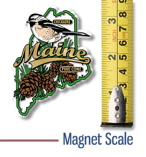 Maine State Bird and Flower Map Magnet by Classic Magnets, Collectible Souvenirs and Gifts Made in the USA