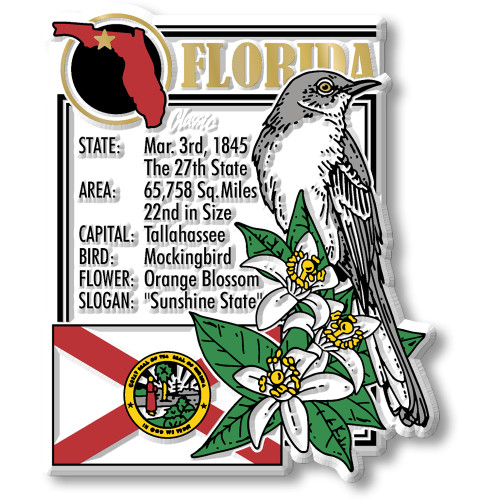Florida Six-Piece State Magnet Set by Classic Magnets, Includes 6 Unique Designs, Collectible Souvenirs and Gifts Made in the USA