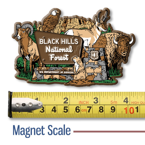 Black Hills National Forest Entrance Sign Magnet by Classic Magnets, Collectible Souvenirs and Gifts Made in the USA