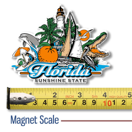 Florida Collage State Magnet by Classic Magnets, Collectible Souvenirs and Gifts Made in the USA