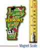 Vermont Colorful State Magnet by Classic Magnets, 2.4" x 4", Collectible Souvenirs Made in the USA