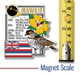 Hawaii State Montage Magnet by Classic Magnets, 3" x 3.1", Collectible Souvenirs Made in the USA