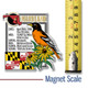Maryland State Montage Magnet by Classic Magnets, 3" x 3.3", Collectible Souvenirs Made in the USA
