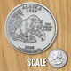 Florida State Quarter Magnet by Classic Magnets, Collectible Souvenirs Made in the USA