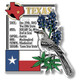 Texas Six-Piece State Magnet Set by Classic Magnets, Includes 6 Unique Designs, Collectible Souvenirs Made in the USA