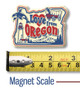 "Love from Oregon" Vintage State Magnet by Classic Magnets, Collectible Souvenirs Made in the USA