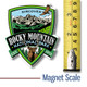 Rocky Mountain Set of Three Magnets by Classic Magnets,  Collectible Souvenirs Made in the USA