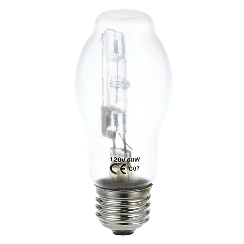 LAMP - COATED, HALOGEN, 120V/60W/CLEAR, 8011016