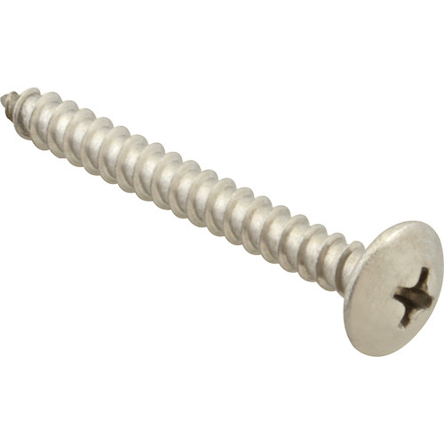 SCREW, SM/TH/SS (100), AllPoints, 6120824, 6120824