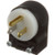 ANGLE PLUG, AllPoints, 381269, 381269