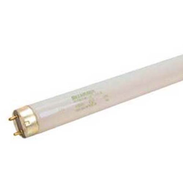 BULB, FLUORESCENT, T-8, 24", Anthony, 60-11003-0001, 2941034