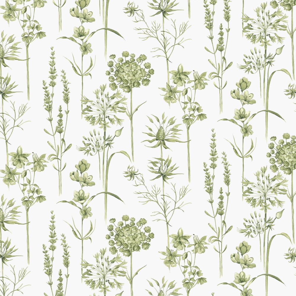 Botanical Wildflowers Wallpaper