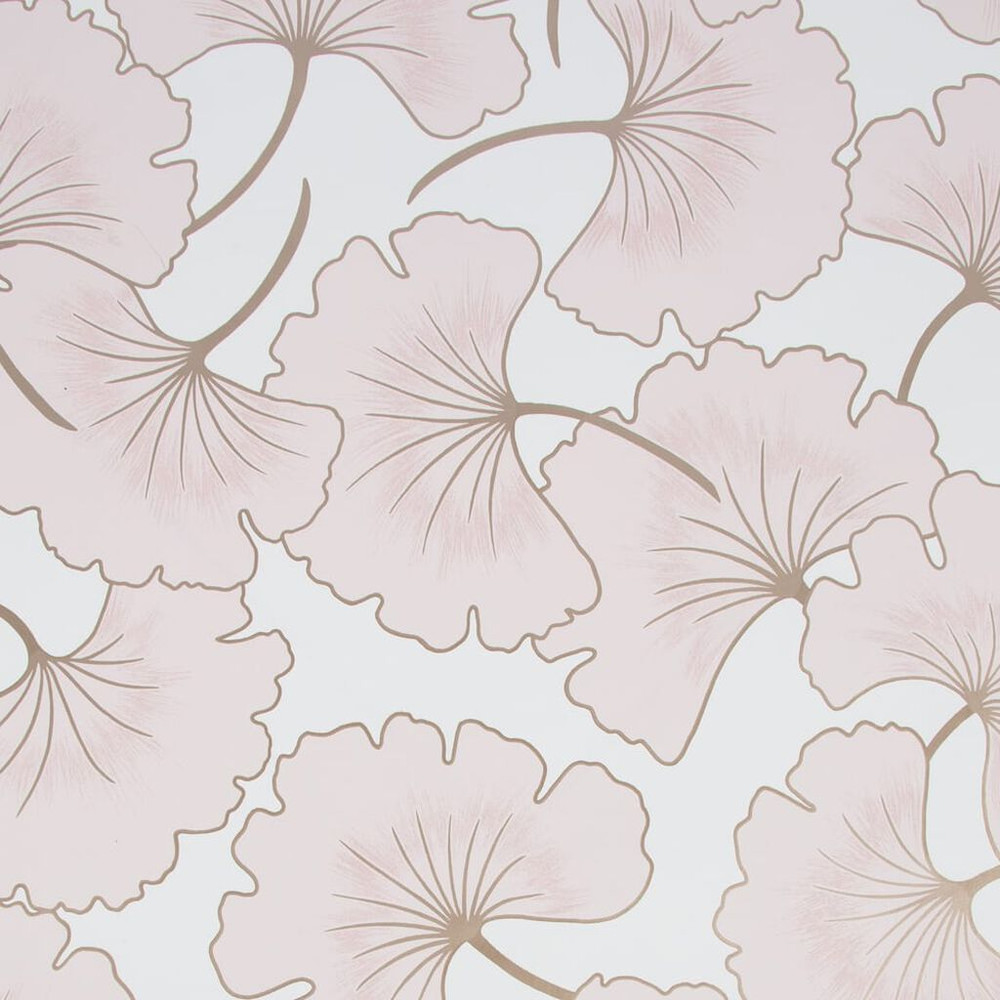 Begonia Pink Wallpaper