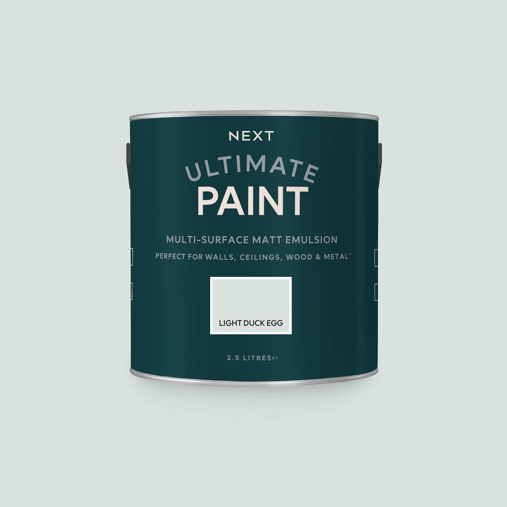 next light duck egg paint