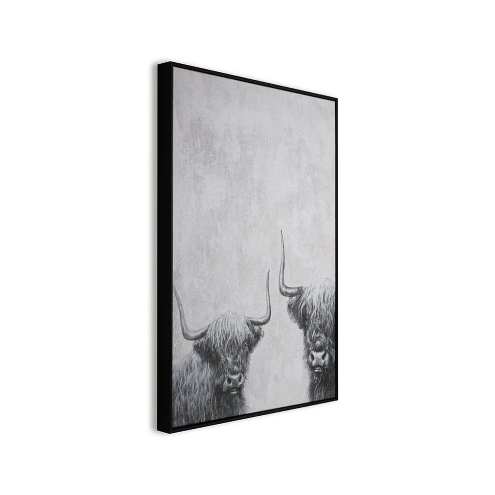 highland cows box framed canvas