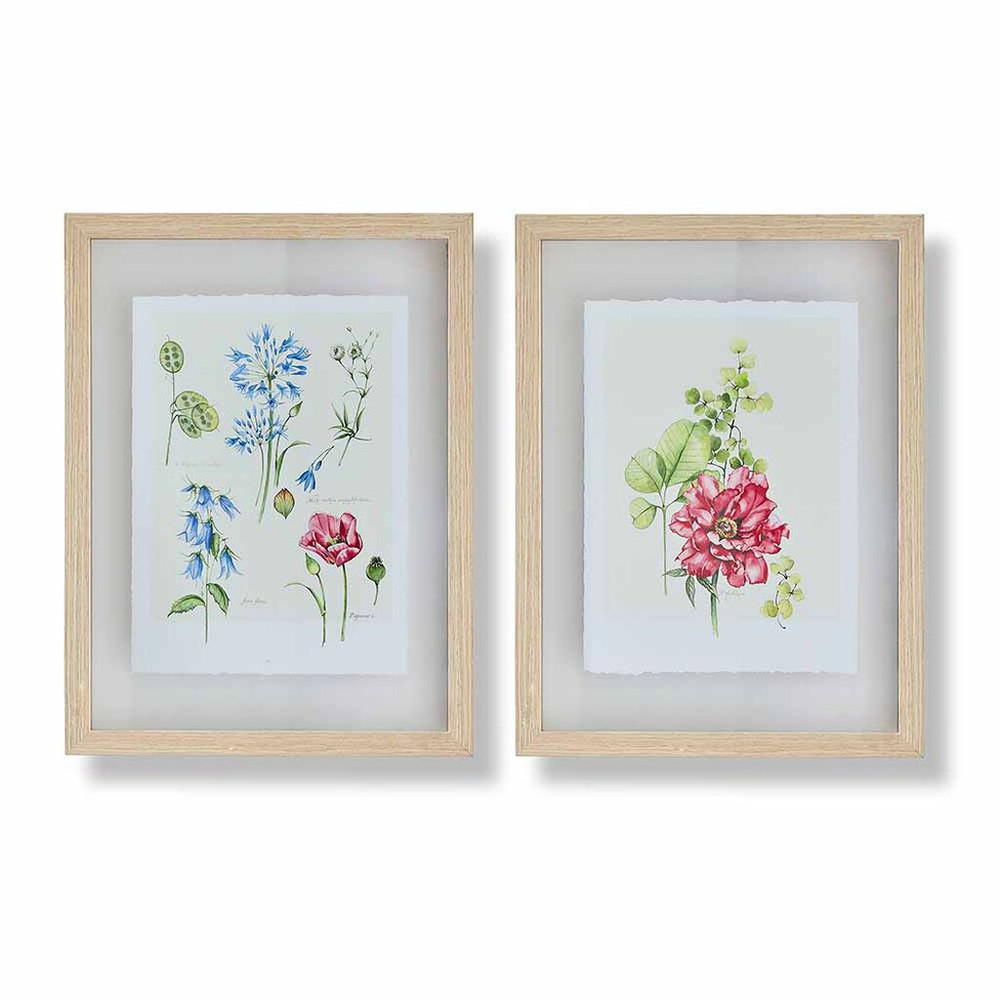 Fleur Studies Framed Prints