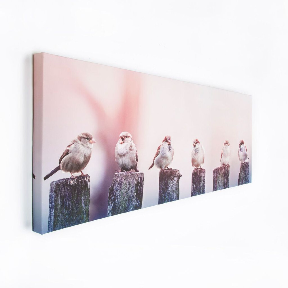 early morning tweets printed canvas wall art