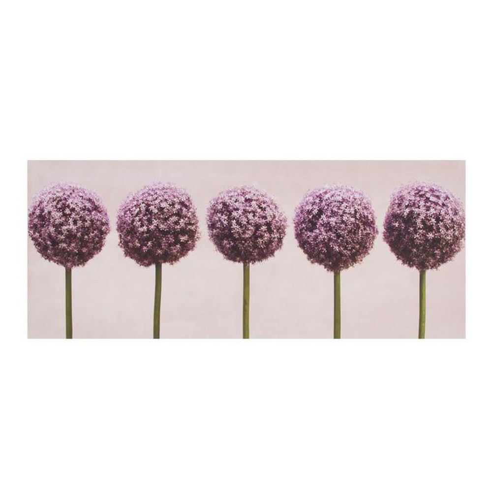 Row Of Alliums Printed Canvas Wall Art