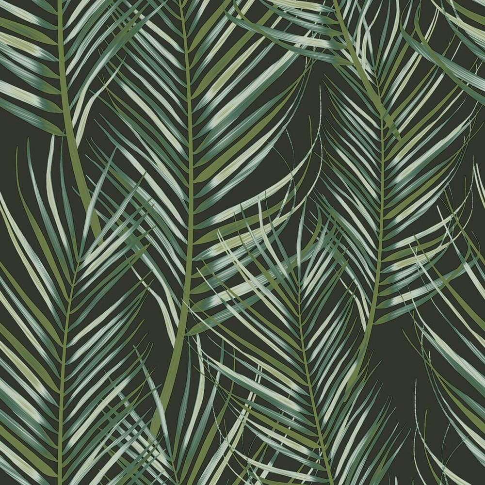 Transform Palm Black Wallpaper