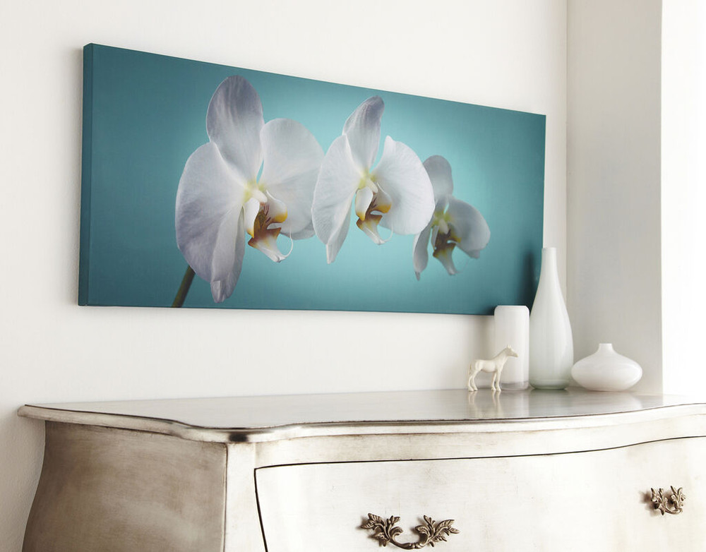 Teal Orchid Wall Art