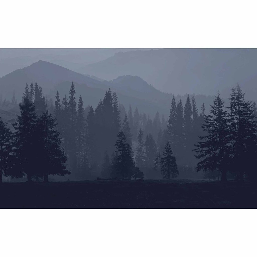 Misty Mountains Ink Bespoke Mural