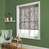 Edulis Blush Roller Blind