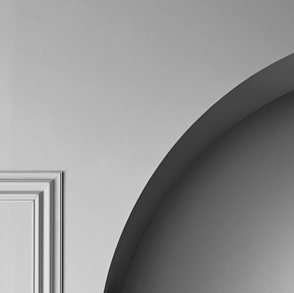 Dove Feather Paint - 109496_DETAIL_SHADOW.jpg