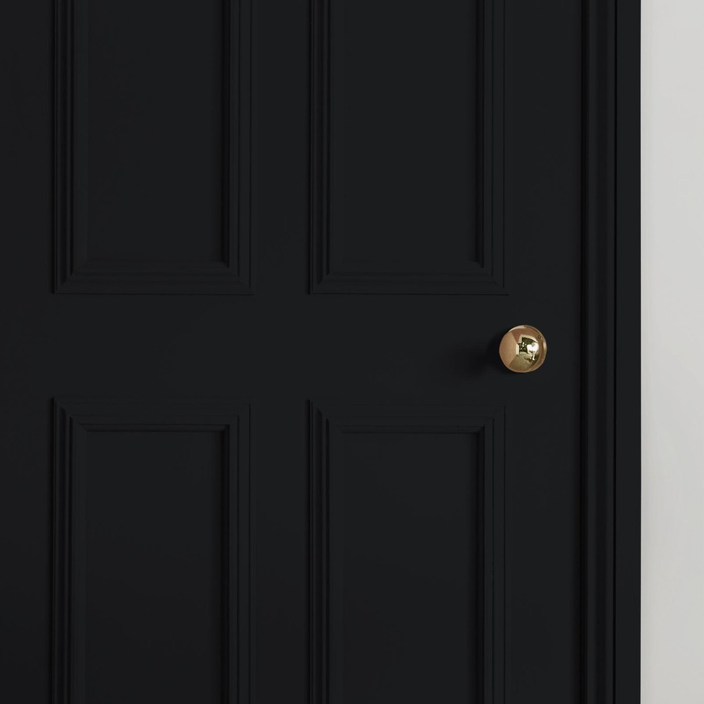 Trouble Paint - 111083_INTERNAL_DOOR.jpg