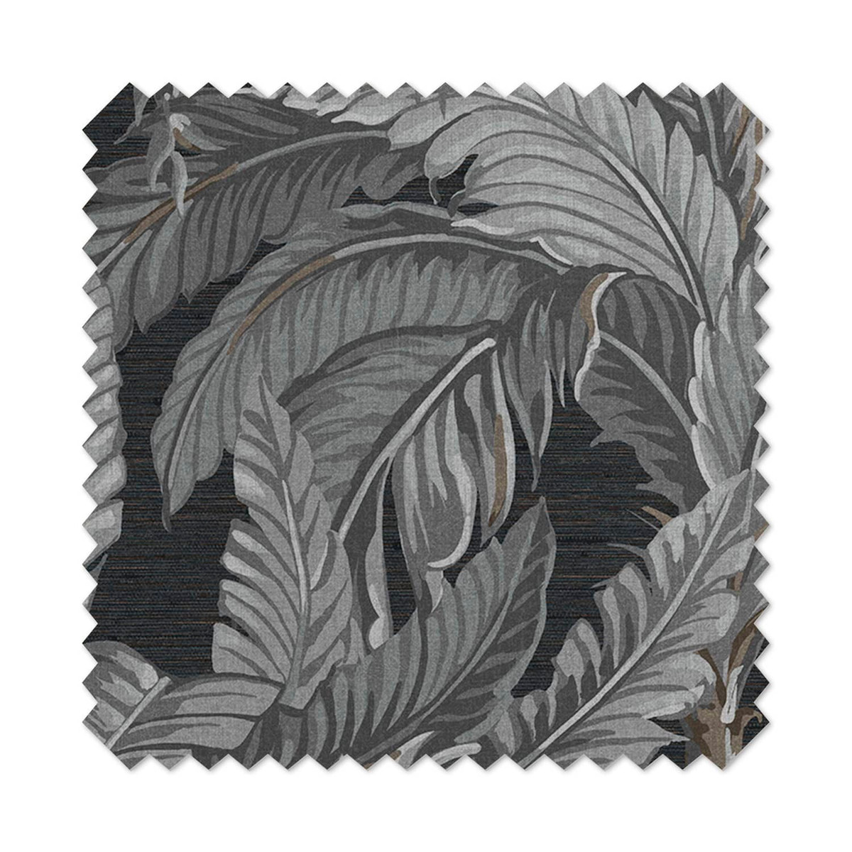 Daintree Palm Sterling Light Filtering Sample