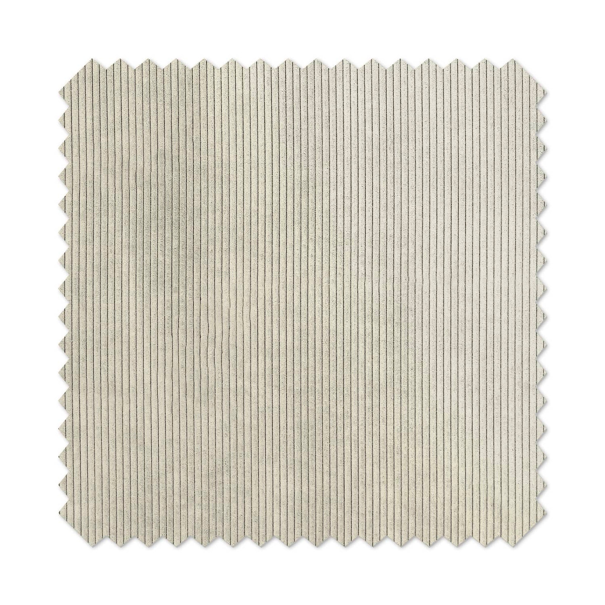 Corduroy Ivory Sample A5