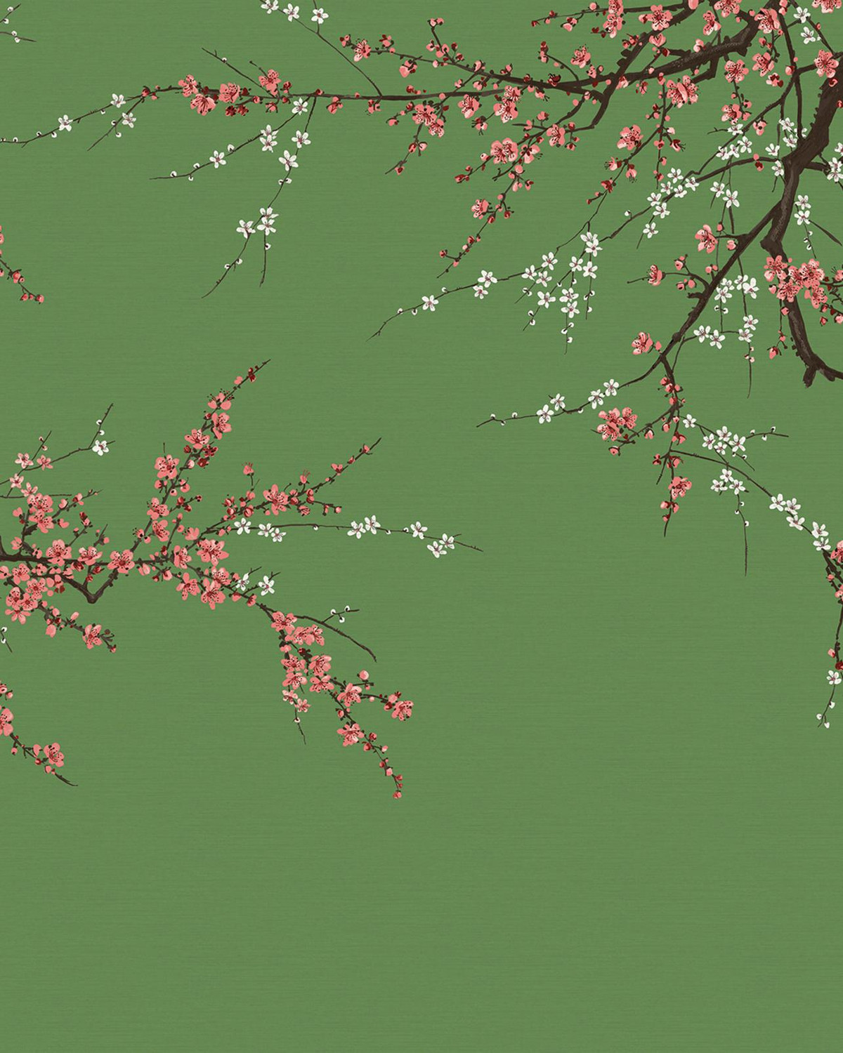 Sakura Free Spirit Bespoke Mural | Blue | Graham & Brown