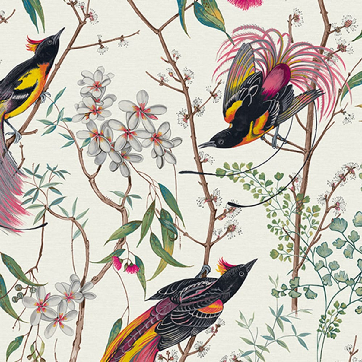 Clavering Birds Day Wallpaper