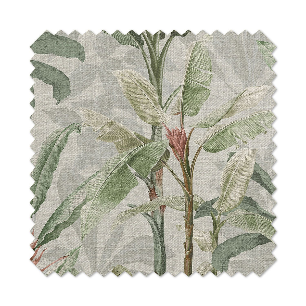 Borneo Powder Curtains