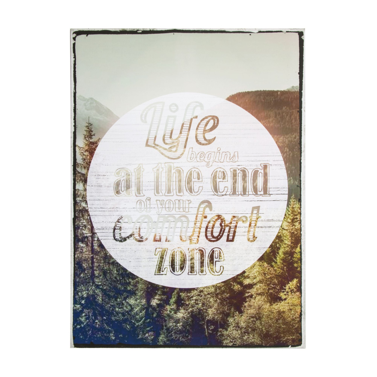 Life Begins Printed Canvas Wall Art