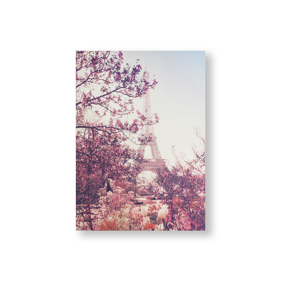 Paris In Bloom Printed Canvas Wall Art