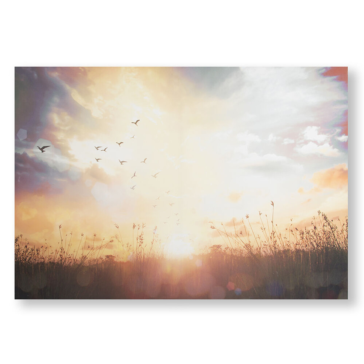 Serene Sunset Meadow Printed Canvas Wall Art