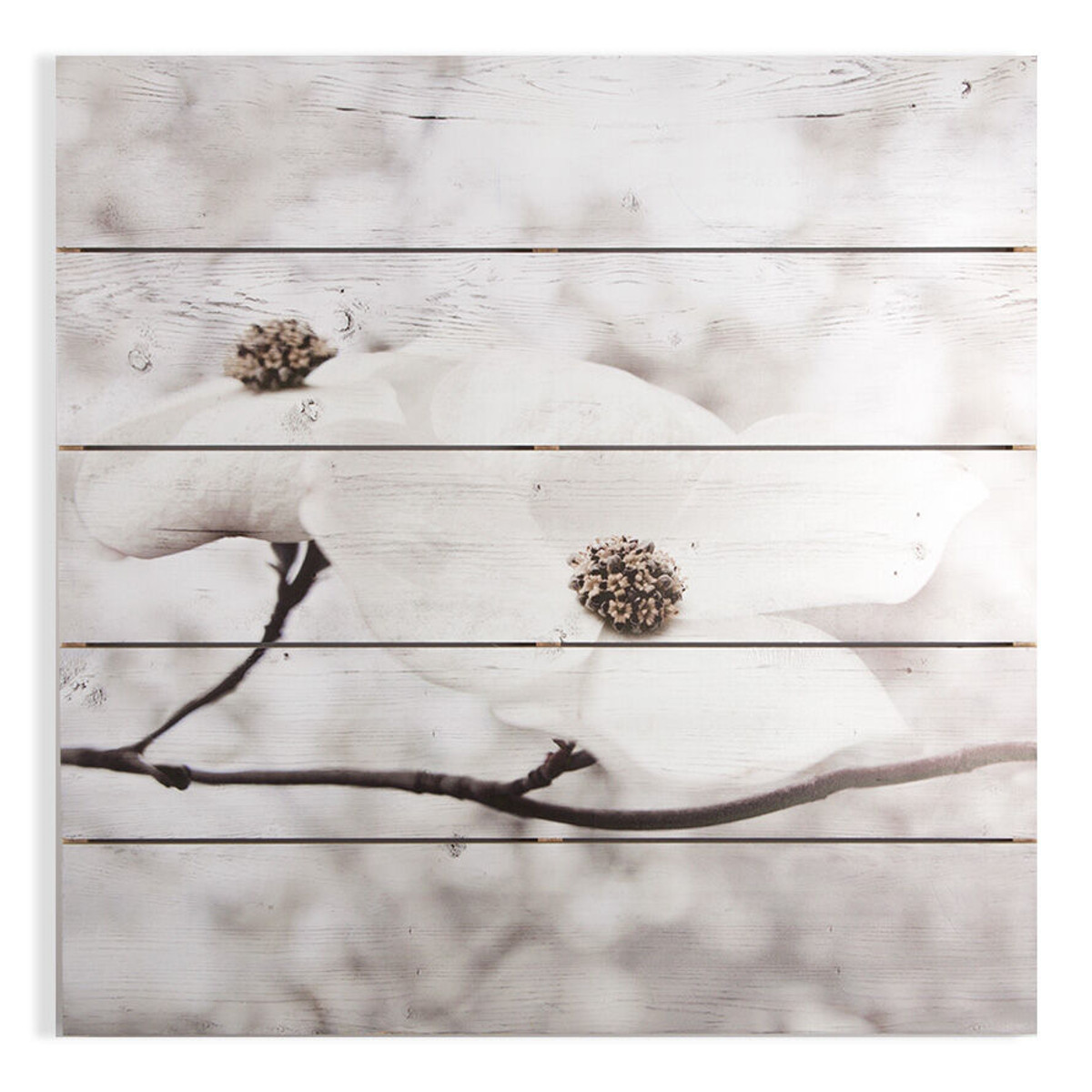 Serenity Blossoms Print On Wood Wall Art