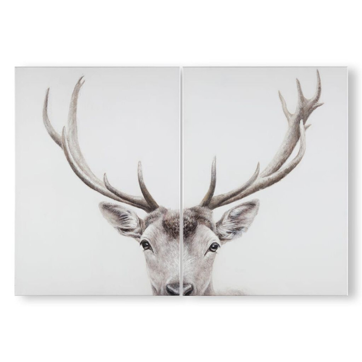 Regal Stag Canvases